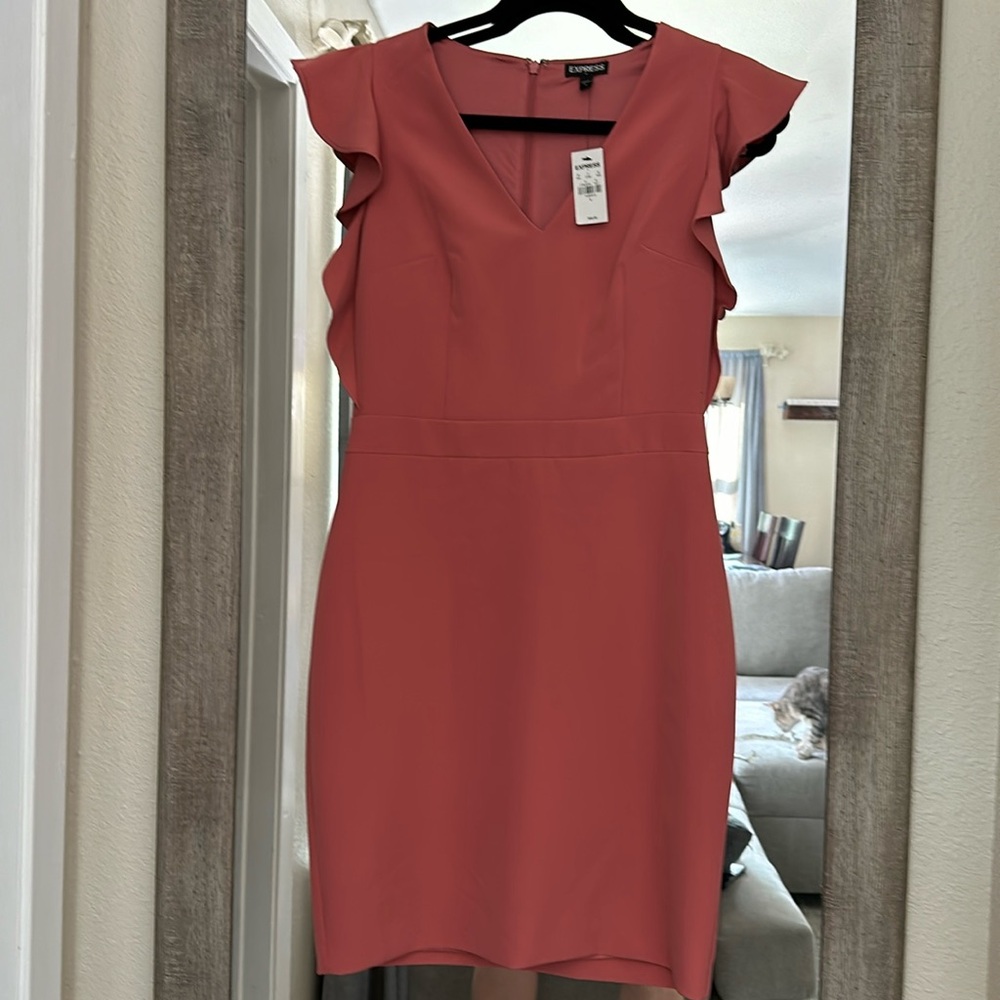 Express Ruffle V Neck Dress NWT Size 4